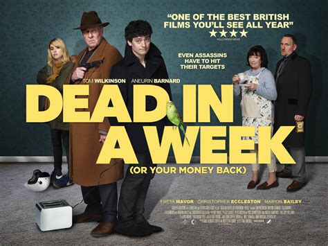 FILM REVIEW;A Money.